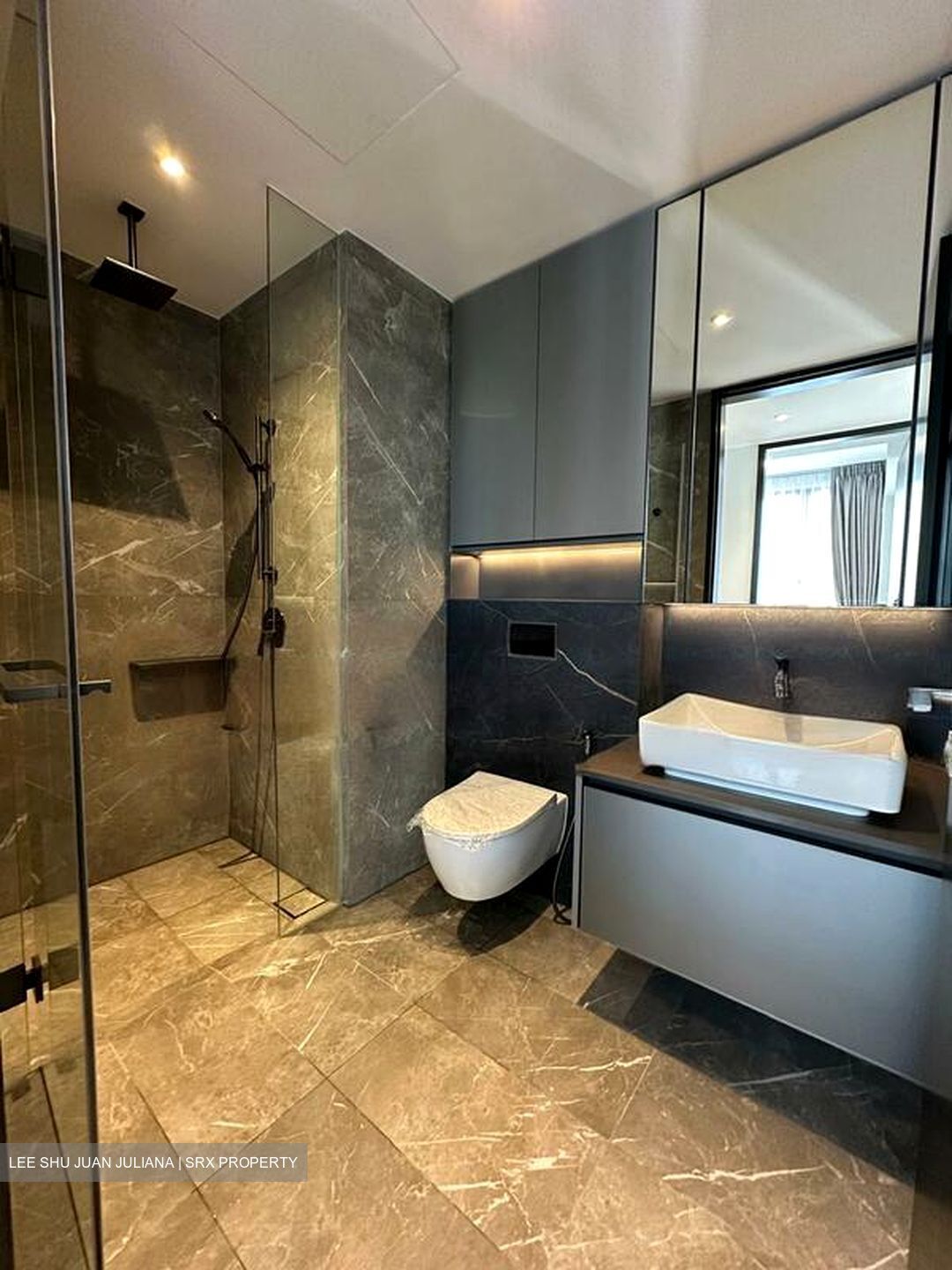 Irwell Hill Residences (D9), Apartment #455909851